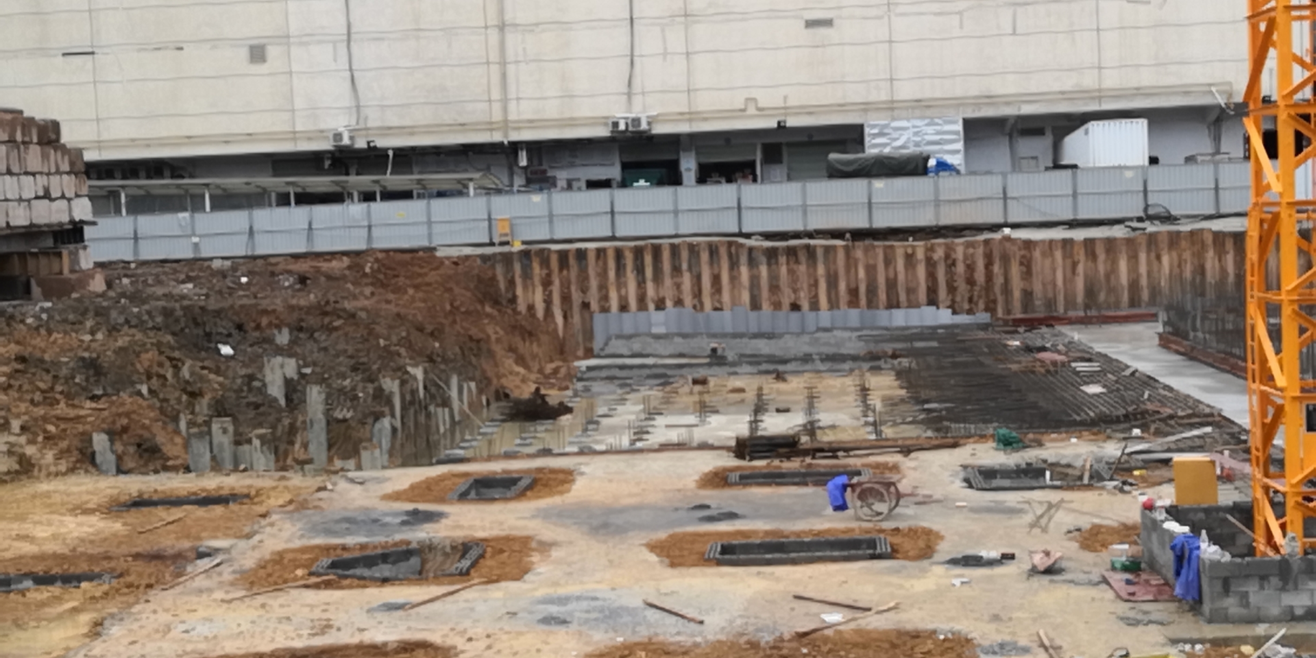 大學(xué)路公園里