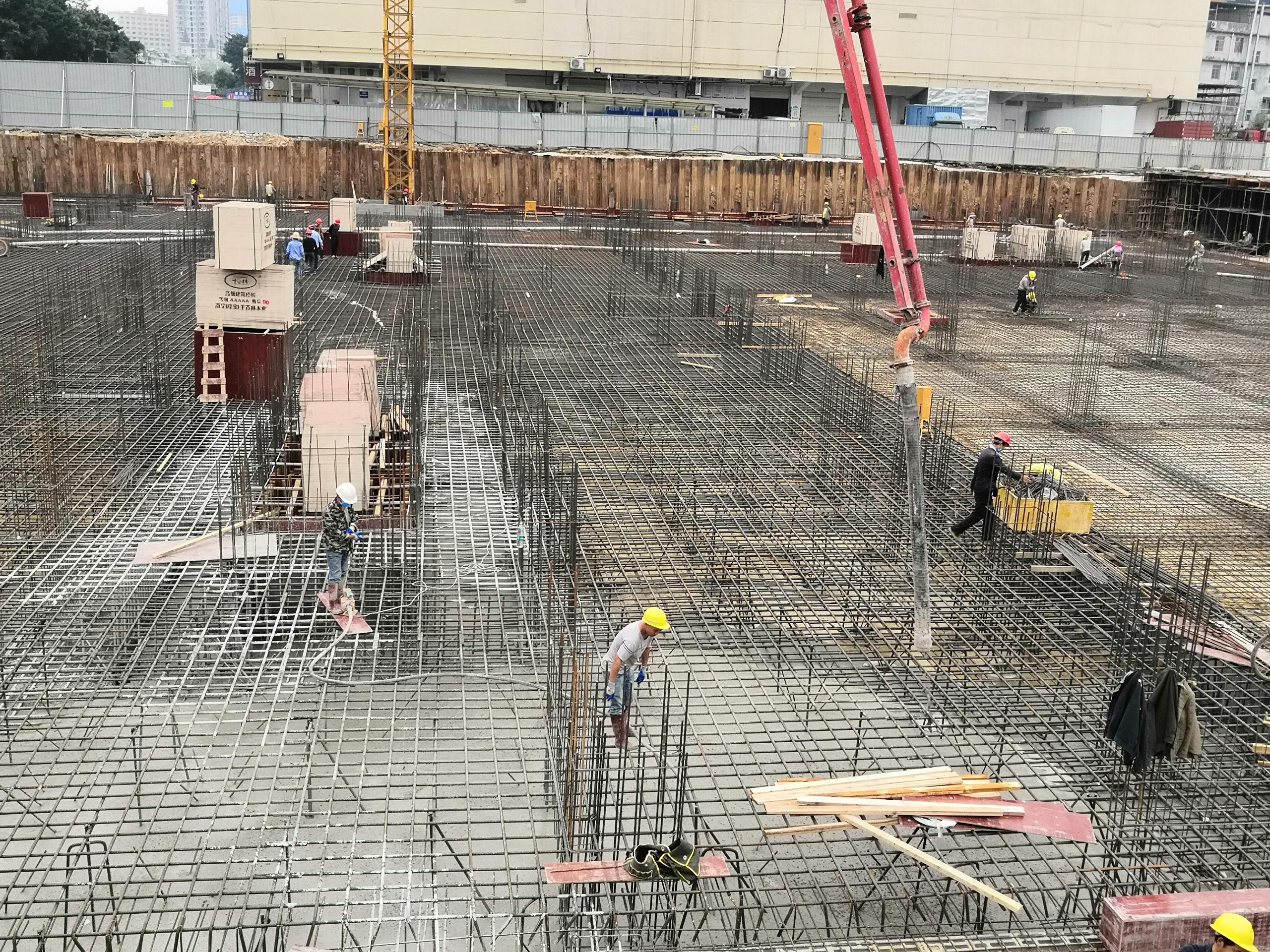 大學(xué)公園里·上城